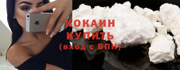 дурь Переславль-Залесский