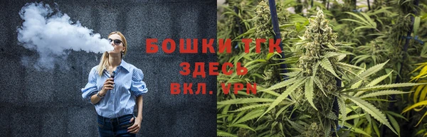 дурь Переславль-Залесский